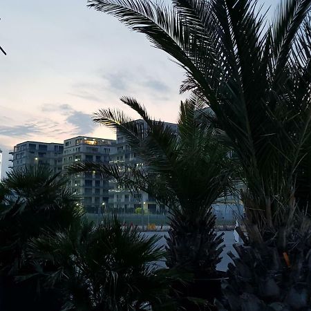The Horse - De Silva Residence Mamaia Exterior foto
